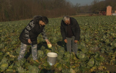 Dijele deset tona zelja jer ne mogu prodati urod: "To su dobri ljudi, podijelit ću koliko bude"