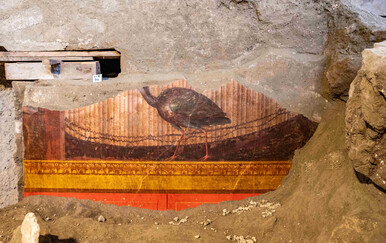 Nove freske otkrivene u vili u blizini Pompeja pokazuju 'izvanredne detalje i boje'