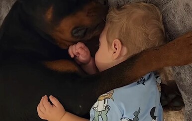 Najslađe dadilje na svijetu: Snimili pse u blaženim trenucima od kojih ćete se rastopiti