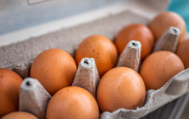 Zbog slamonele povlače se jaja jednog OPG-a