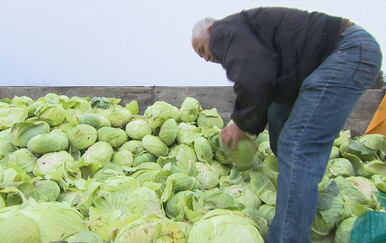Poljoprivrednik Božidar besplatno je podijelio tone kupusa: "Prije sam bio tužan i žalostan, a sad mi je srce puno"