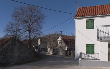 Nova eutanazija stada zbog kuge malih preživača u Dalmatinskoj zagori