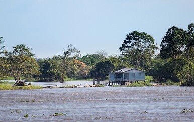 Dvogodišnja djevojčica poginula u napadu piranja nakon što je pala u rijeku ispred kuće