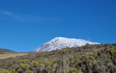 Kilimanjaro
