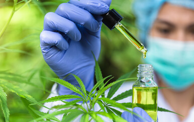 Ogromna studija otkrila nešto neočekivano u vezi medicinskog kanabisa