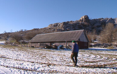 Kuga malih preživača kod Gračaca