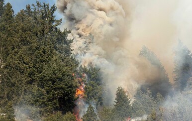 Dvanaestogodišnji dječak petardama zapalio veliki požar u austrijskim planinama