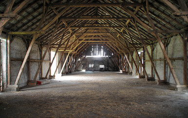 Užas na farmi u Vojvodini: Ubijeni muškarac zavezan za stup, lice izudarano do neprepoznatljivosti