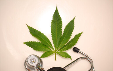 BiH legalizirala uporabu kanabisa za ublažavanje simptoma teških bolesti