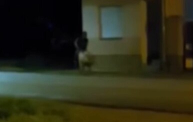 Bizarna snimka iz Slavonije donijela mu nadimak "Princ u Punitovcima"! Ovo morate vidjeti