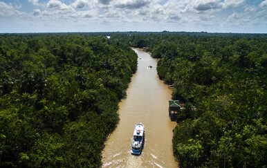 Amazonska prašuma prelazi u stanje koje nije viđeno mlijunima godina