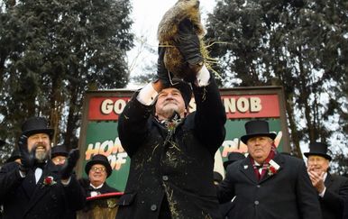 Svizac Phil najavio rano proljeće (Foto: AFP)