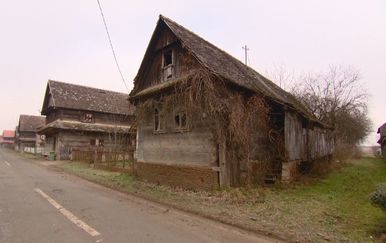 Dnevnik u vašem selu: Lonjsko pole (Foto: Dnevnik.hr) - 1