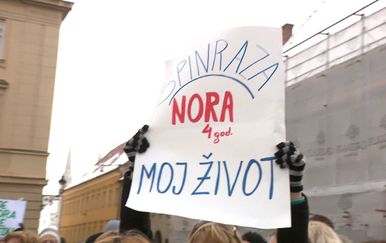Prosvjed za spinrazu (Foto: Dnevnik.hr) - 2