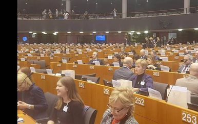 Performans SDP-ovaca u Europskom parlamentu (Foto: Facebook)
