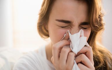 Muči li vas alergija ili prehlada?