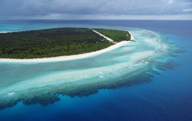 Koraljni otok, ilustracija (Foto: AFP)