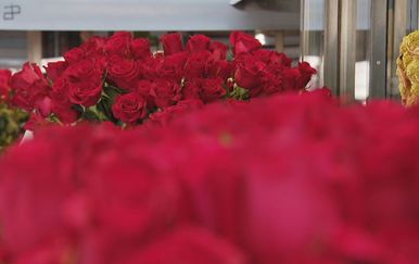 Ukrao 40 ruža iz izloga ruske cvjećarnice: Prijeti mu četiri godine zatvora