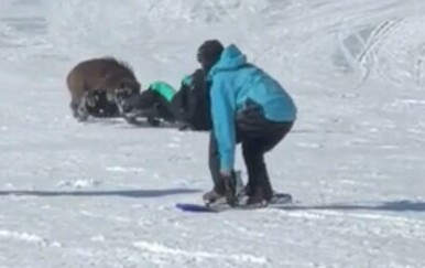 Vepar napada skijaša