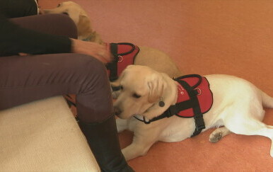 Zoran Ivanović osvojio nagradu Tatjana Krajač: Ilustracija - 2