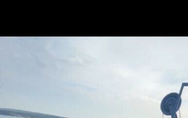 Jelena Perković, Survivor - 1