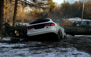 Stablo palo na automobil