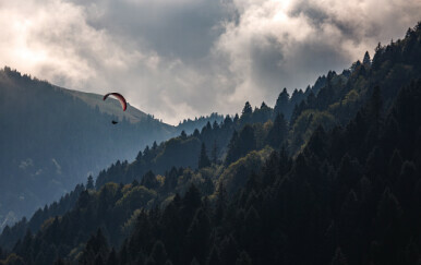 Paraglajder iznad šume, ilustracija