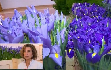 Arhitektica i floristica Boška Bahtijarević