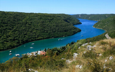 Limski kanal