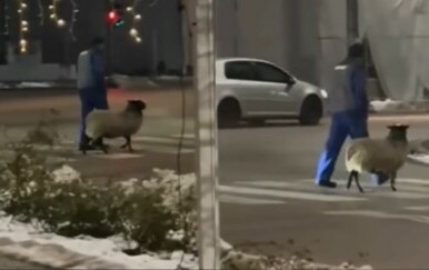 Ova scena iz Županje postala hit na društvenim mrežama – pogledajte zašto!