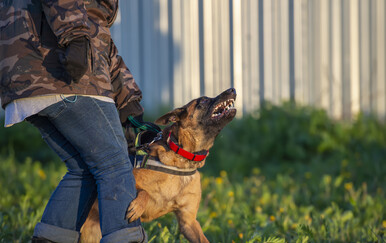 Pas u Brnazama skočio na ženu koja je pala i zadobila ozljede: Kazneno prijavljen vlasnik psa