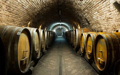 Nova vinarija u Zmajevcu: Kako je Damir Josić izgradio baranjsku vinsku priču