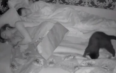 Nisu mogli spavati pa postavili kameru i konačno uhvatili krivca na djelu