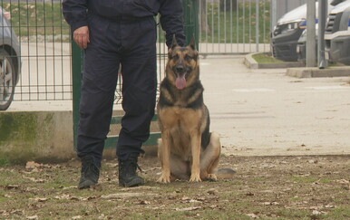 PROVJERENO: Lajka, Puma i Vučko spasili su mnoge živote, a sada uživaju u mirovini