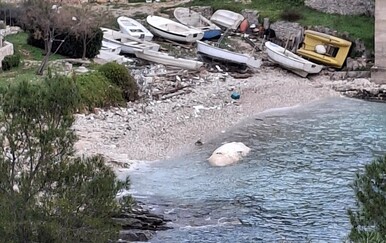 U višku uvalu more nanijelo sisavca od 6 metara u raspadnutom stanju