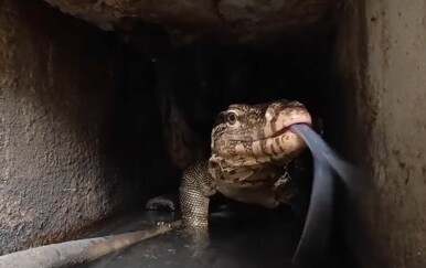 Strah i trepet u cijevima: Pokušali očistiti odvode, a dočekali ih jezivi prizori