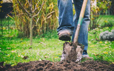 Muškarac u dvorištu pronašao minu