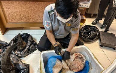 Državljanin Vijetnama krijumčario rogove nosoroga u Tajland