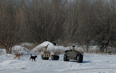 Šokantna studija: Psi u Ukrajini više nisu isti