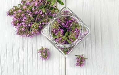 Mirisna, čudesna i ukusna: Znate li za što je sve dobra majčina dušica?