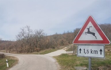 Izmjene Zakona o lovstvu: Domaćim udrugama prednost, zakup se produljuje na 20 godina