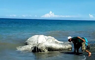 Kakve su to nemani? Morske dubine pune su bizarnih prizora, pogledajte što su sve otkrili