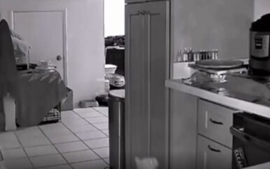 Noćna kamera zabilježila kaos u kuhinji i nasmijala vlasnike