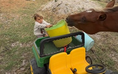 "Što će ti brat pored ovakvog konja?": Preslatka snimka gledateljima uljepšala dan