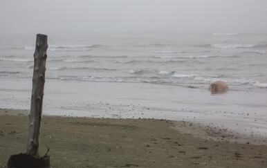 Tinejdžeri proglašeni krivima za smrt muškarca na plaži