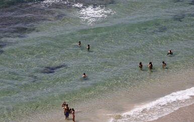 Velika bijela psina vratila se u Mediteran