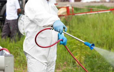 Studija otkriva da se grozne tropske bolesti sada mogu prenositi u većem dijelu Europe