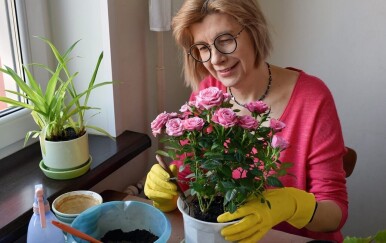 Koje cvijeće saditi u veljači? 12 otpornih biljaka koje možete bez straha posaditi krajem zime