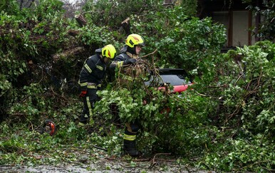FOTO Stablo palo na parkirane automobile na zagrebačkoj Trešnjevci