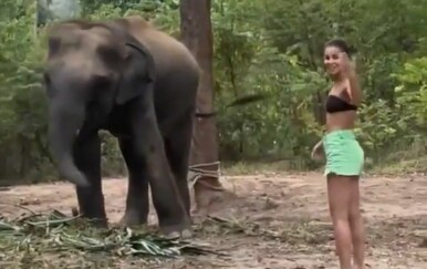 Pokušala se sprijateljiti sa slonom pa shvatila da to nije baš dobra ideja